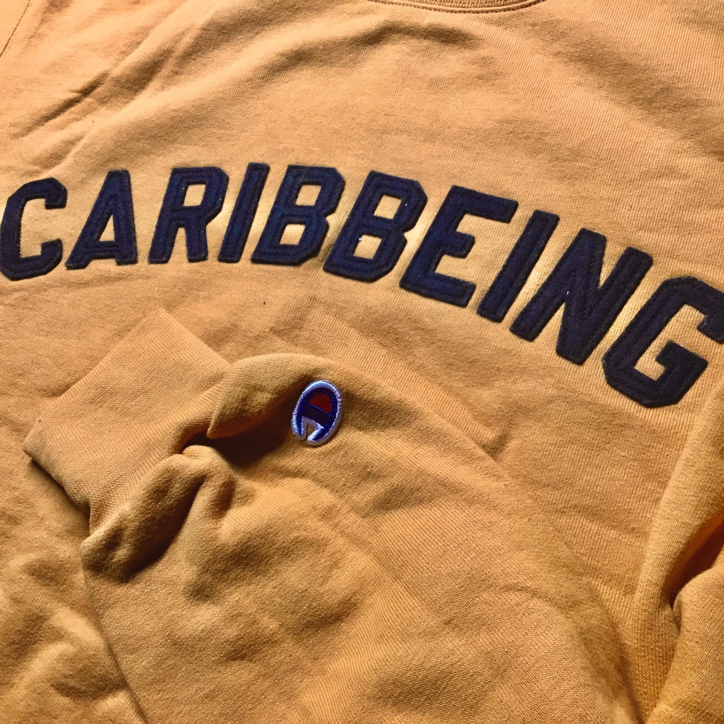 
                  
                    CARIBBEING Varsity Crewneck with Sewn Felt Lettering
                  
                