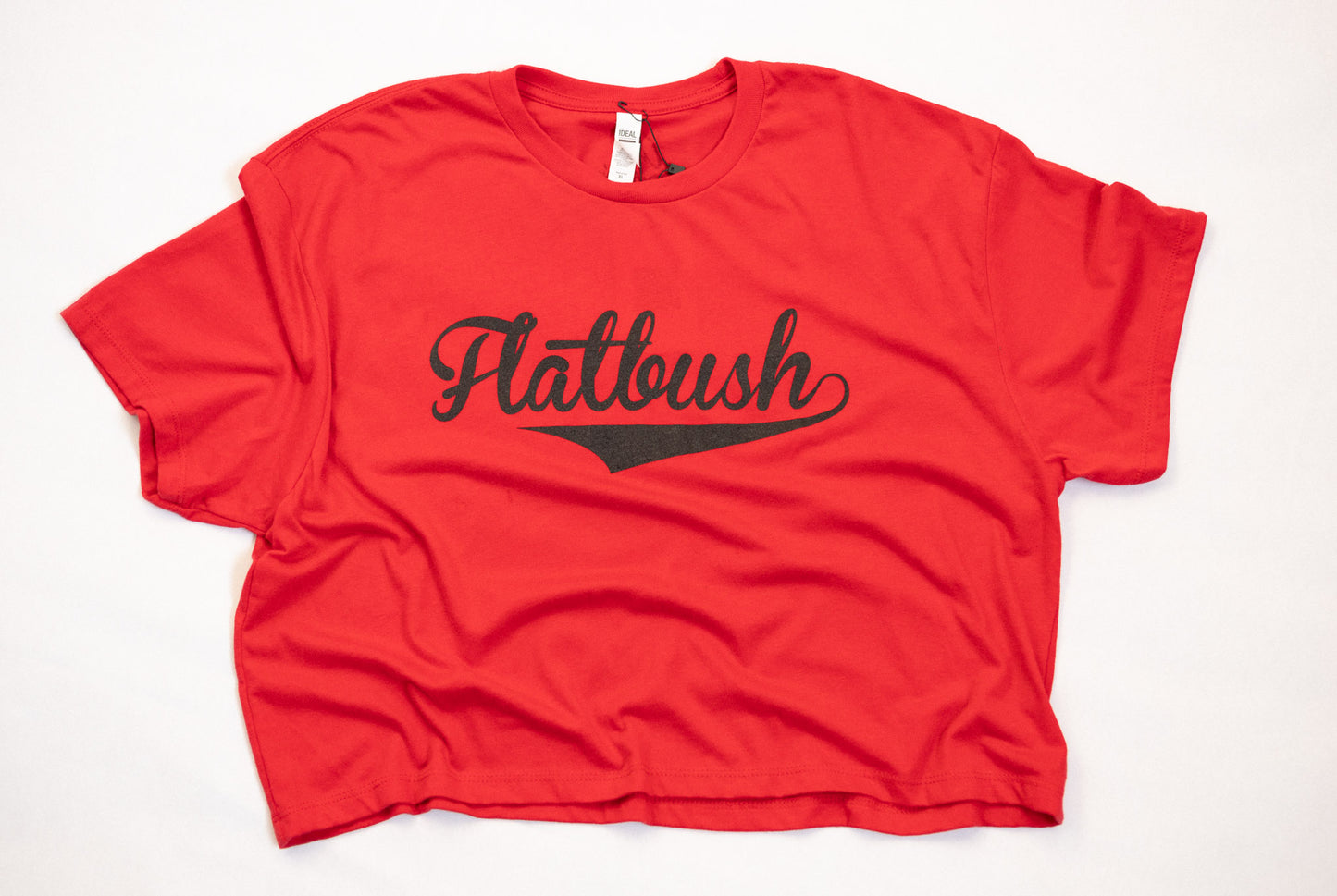 
                  
                    Flatbush Baseball Logo T-Shirt
                  
                