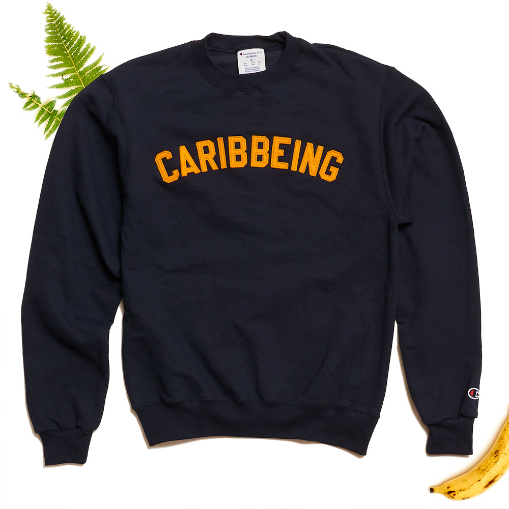 
                  
                    CARIBBEING Varsity Crewneck with Sewn Felt Lettering
                  
                